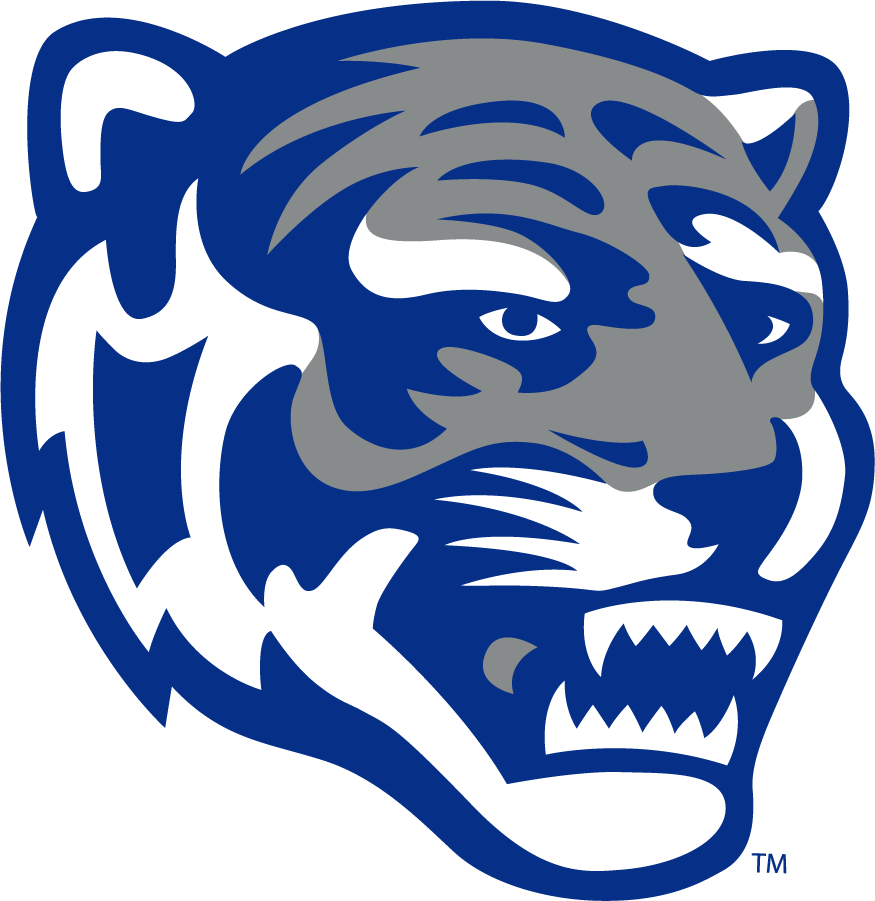 Memphis Tigers 2013-Pres Secondary Logo v5 diy iron on heat transfer